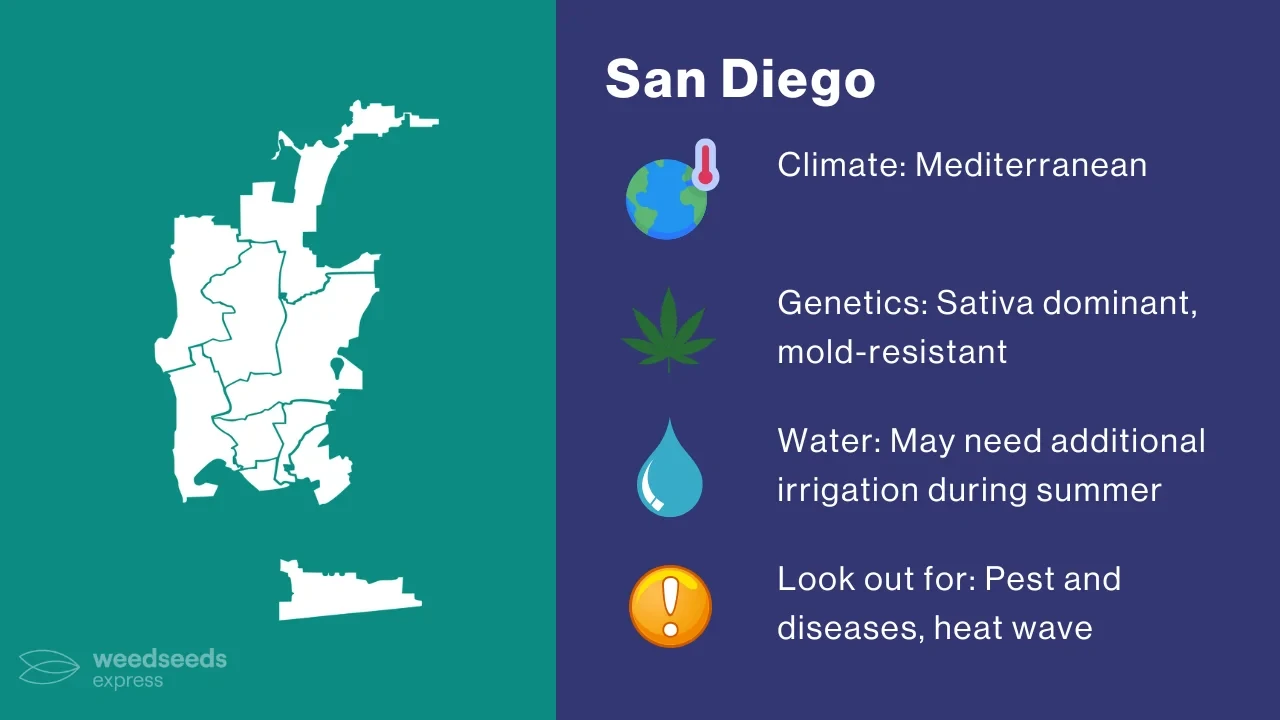 Cannabis Growing Climate in San Diego